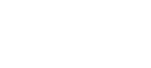 Nis LogTech logo